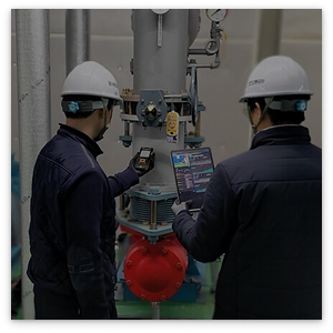 형식적 점검과 사후 미조치